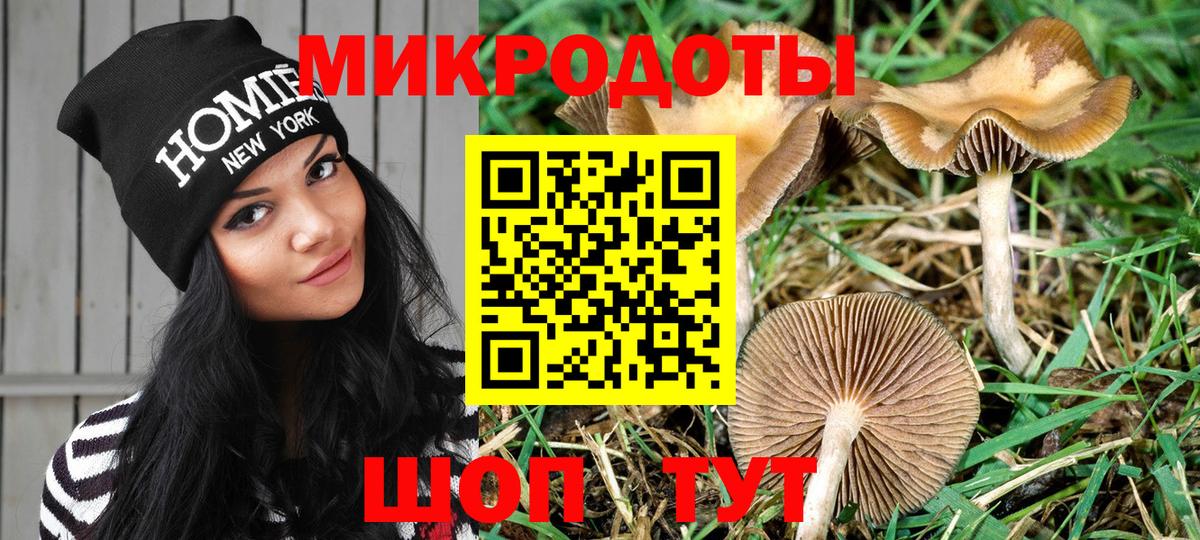 Псилоцибиновые грибы мицелий  где можно купить наркотик  Лысьва  Вход с VPN  Галлюциногенные грибы мухоморы 
