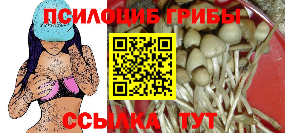 Галлюциногенные грибы Cubensis Лысьва